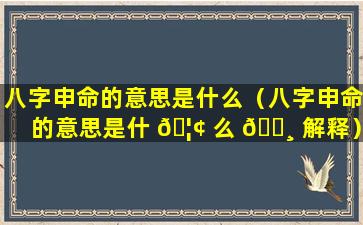 八字申命的意思是什么（八字申命的意思是什 🦢 么 🌸 解释）